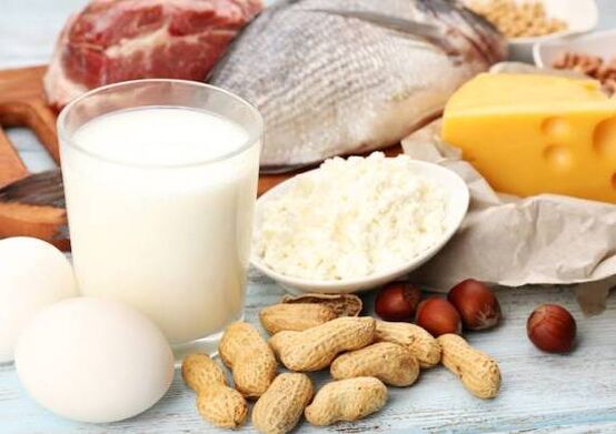 منتجات الألبان والأسماك واللحوم والمكسرات والبيض - نظام غذائي للبروتين
